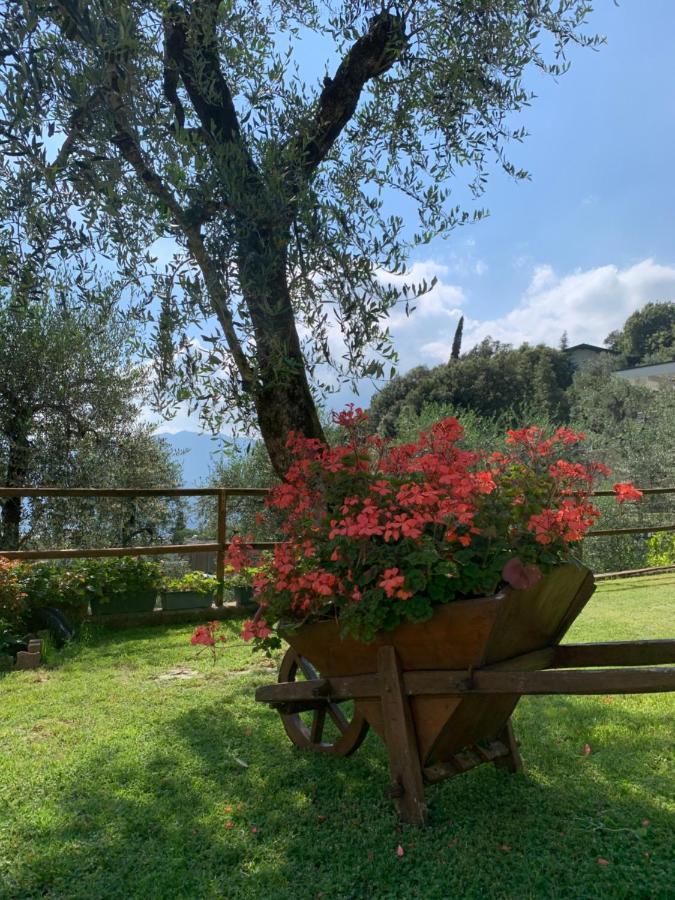 Appartamento Viola Malcesine Esterno foto